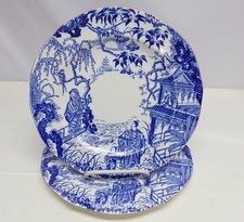 Coppia di piatti da pranzo