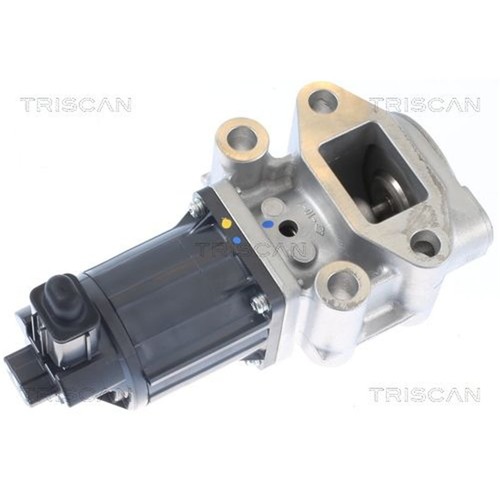 Triscan valvola egr - triscan, per