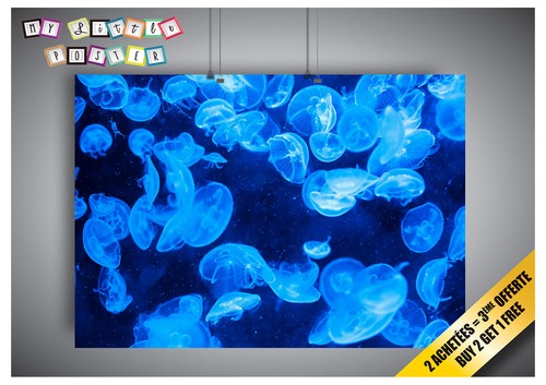 Locandina meduse animali - meduse, blu