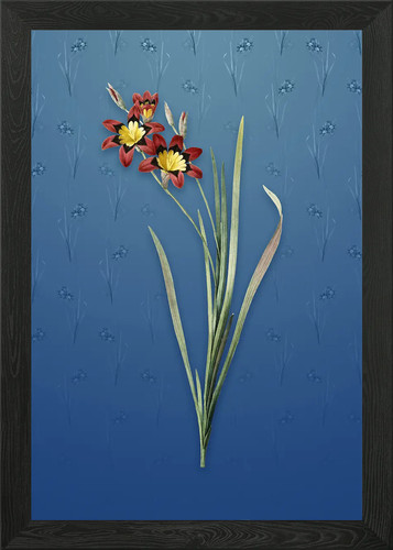 Quadro stampa tela - quadro, poster