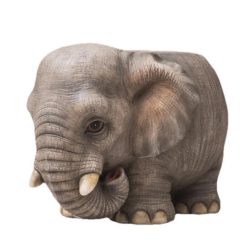 Carino elefante tartaruga