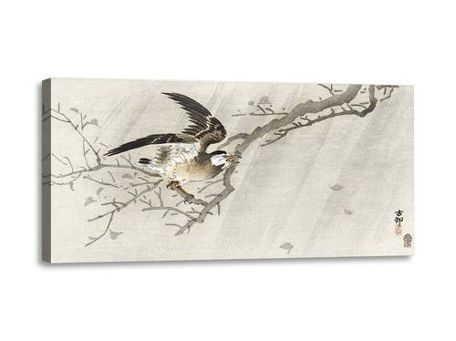 Quadro stampa tela con - su,