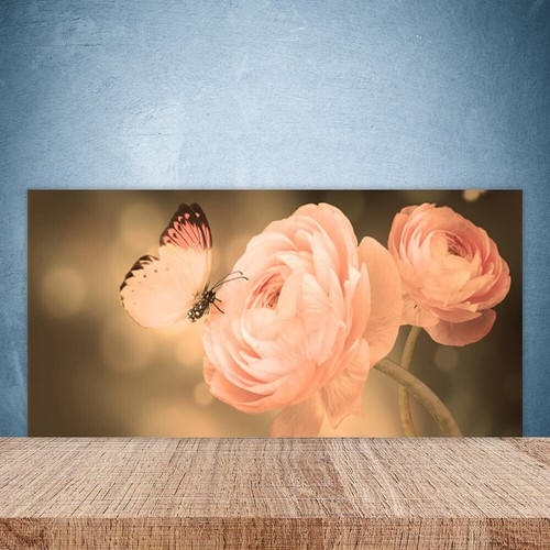 Splashback paraschizzi - splashback,