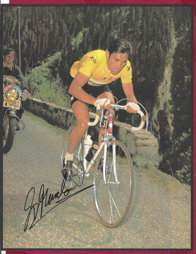 Eddy merckx belgio cisclismo - eddy,
