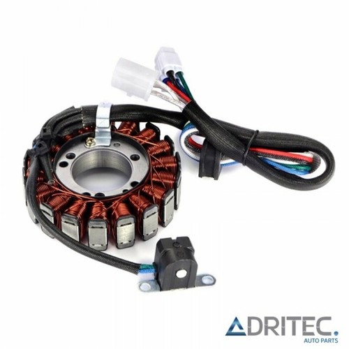 Alternatore statore arctic - alternatore,