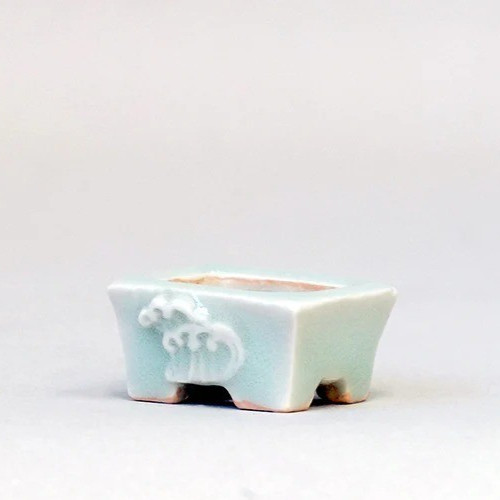 Vaso bonsai giapponese insegna