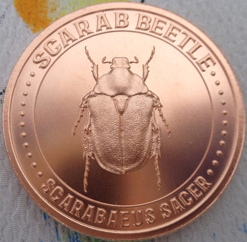 Oncia scarab beetle 7 - oncia,