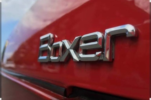 Badge boxer alfa - boxer,