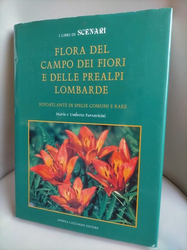 Flora del campo dei - del, fiori