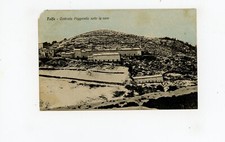 Tolfa - Contrada Poggerello