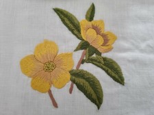 Spettacolari Asciugamani 1+1