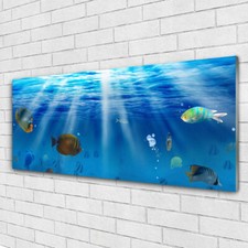 Immagine Arte da Parete Vetro Tempereto 125x50 Pesce Natura Pronto da appendere