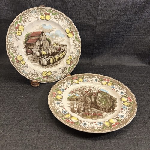 Piatti pranzo johnson bros - johnson,