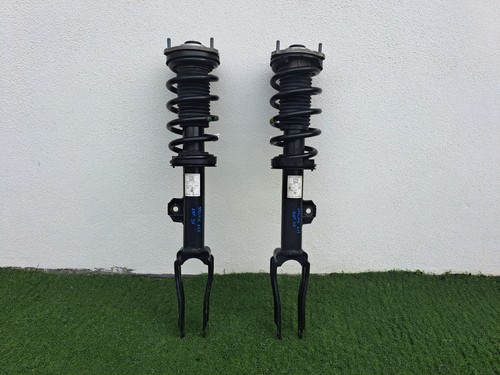 Coppia ammortizzatori ant dx - coppia,
