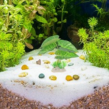  4 Pezzi Decorazione Acquario