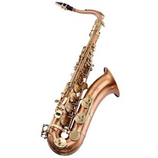 JYTS-A620 Sassofono Basso