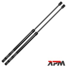 2x Gas Ammortizzatore Lunotto