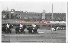 MODENA PARCO NOVI SAD 24 MAGGIO 1939 CORSO Mak Π 100 - 2 FOTO