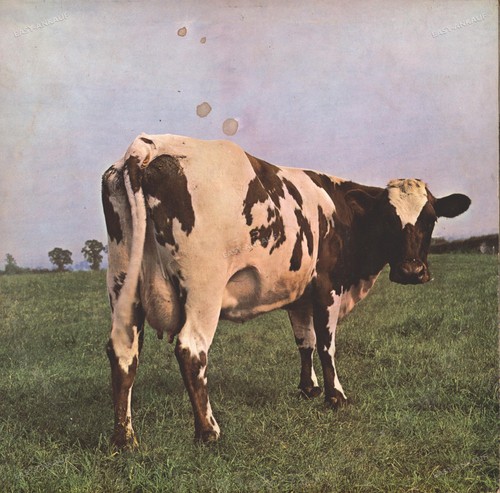 Pink floyd atom - pink, mother