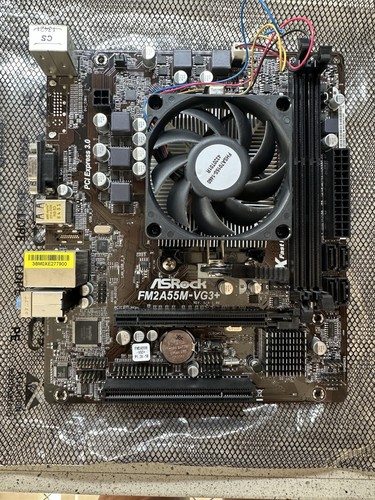Scheda madre asrock - scheda,