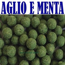 BOILIES BOILE AGLIO E MENTA BOILES CARPFISHING PESCA CARPA PASTURA ESCA INNESCO