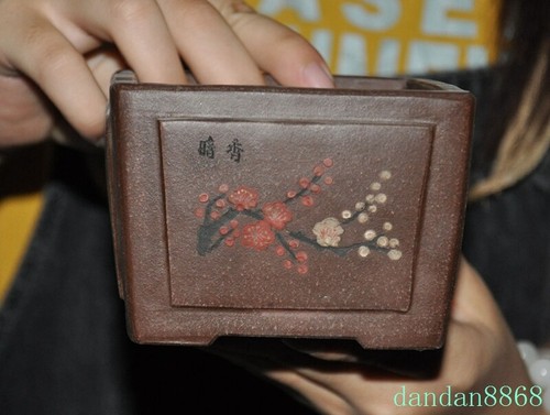 Pianta bonsai cina - pianta, yixing