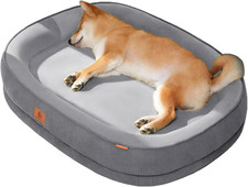Cuccia Cane Lettino per Cani