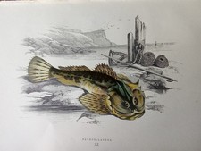 Rare Original Antique