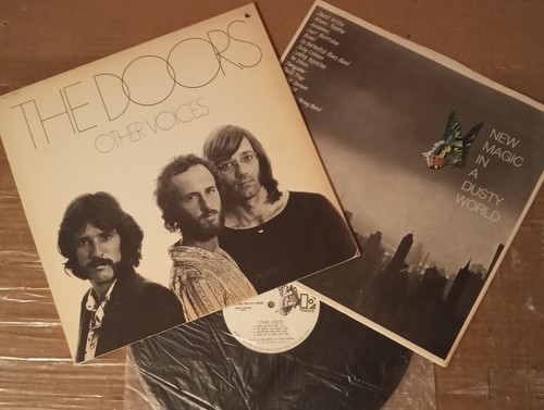 The doors other - the, voice