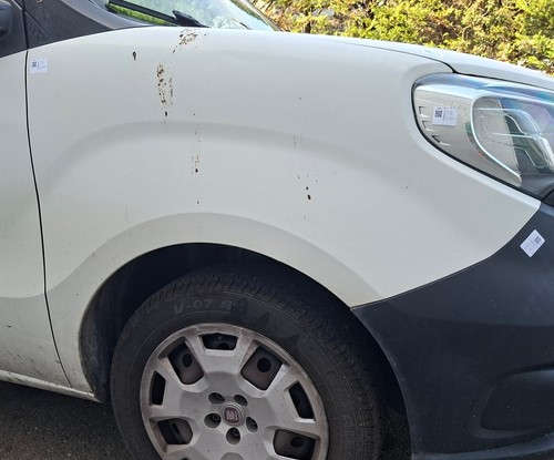 Parafango ant fiat - dx,