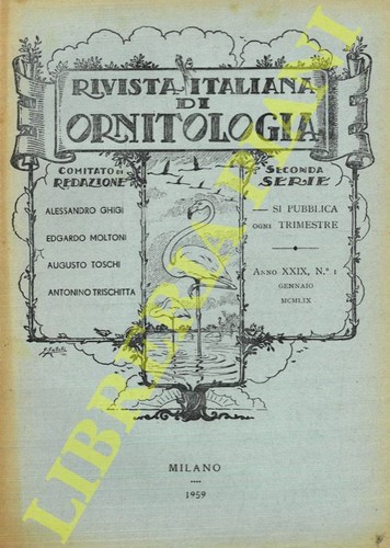 Moltoni orlando - -, (moltoni,
