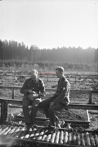 Foto negativo rad 266 - foto,