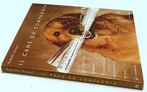 Cane compagnia - il,