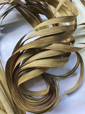 Foglie di Cocco Secche Ceylon Bio Marrone 100% Naturale Foglia di Palma Cocos Nucifera