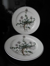 2 piatti da torta Villeroy &
