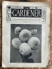 The gardener antique - gardener, gardening