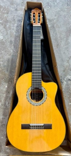 Chitarra - 39",
