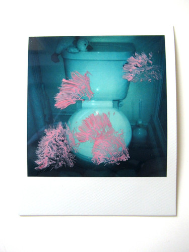 Araki polaroid originale - polaroid,