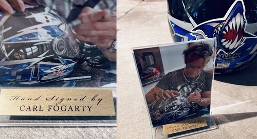 Casco shark carl fogarty - shark,