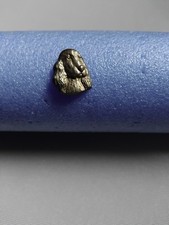 Pin cocker spanish americano