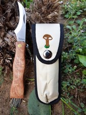 Coltello per Funghi porcini
