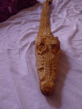 Cintura Di Coccodrillo