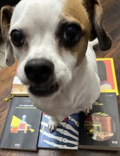 6 Libri L’ALCHIMISTA/ULTIMAvittima/DonneINFsuiFatti/AmorBugLiq/MANO/CaseDIvetro