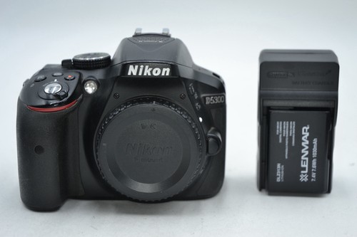 Nikon d5300 2 megapixel - d5300, 24,2