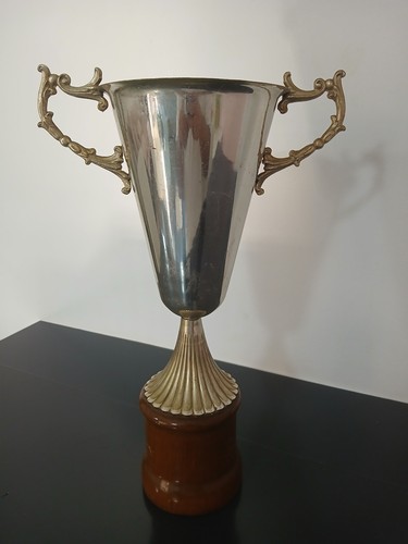 Trofeo coppa vintage argentata - coppa,