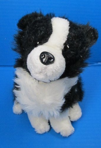 Richard lang border collie - richard,