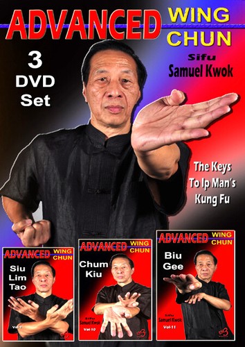 Advanced wing chun - advanced,
