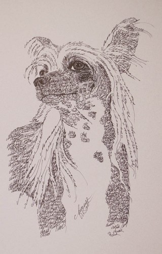 Stampa ritratto arte cane