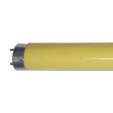 10X Philips Tubo Al Neon