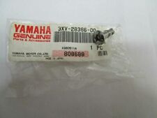 VITE SPECIALE PER CARENE